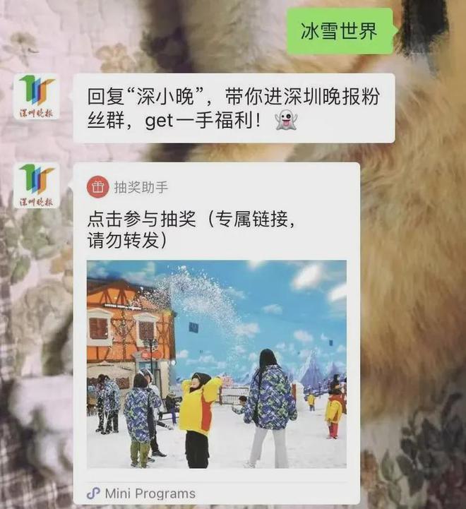 场出现风洞！躺着就能飞米乐m6深圳一网红商(图3)